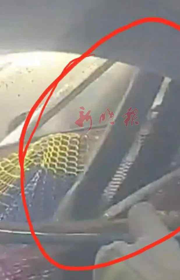2米长黑蛇＂搭车＂进市区 车主毫无察觉!