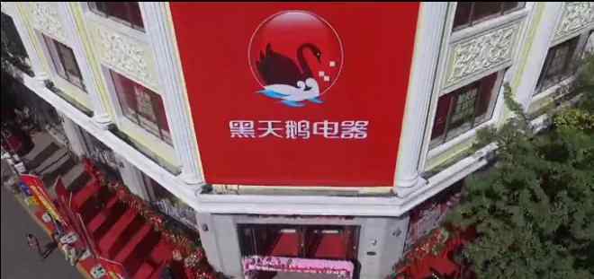 国美黑天鹅 国美新零售物种“黑天鹅生活馆”亮相 营业面积近万平米