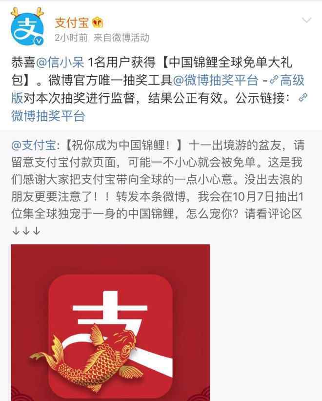 支付宝免单是真的吗 支付宝2018“中国锦鲤”揭晓 获得全球免单的人是她