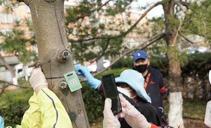 皇城根遗址公园 皇城根遗址公园885株树木被市民“云认养”
