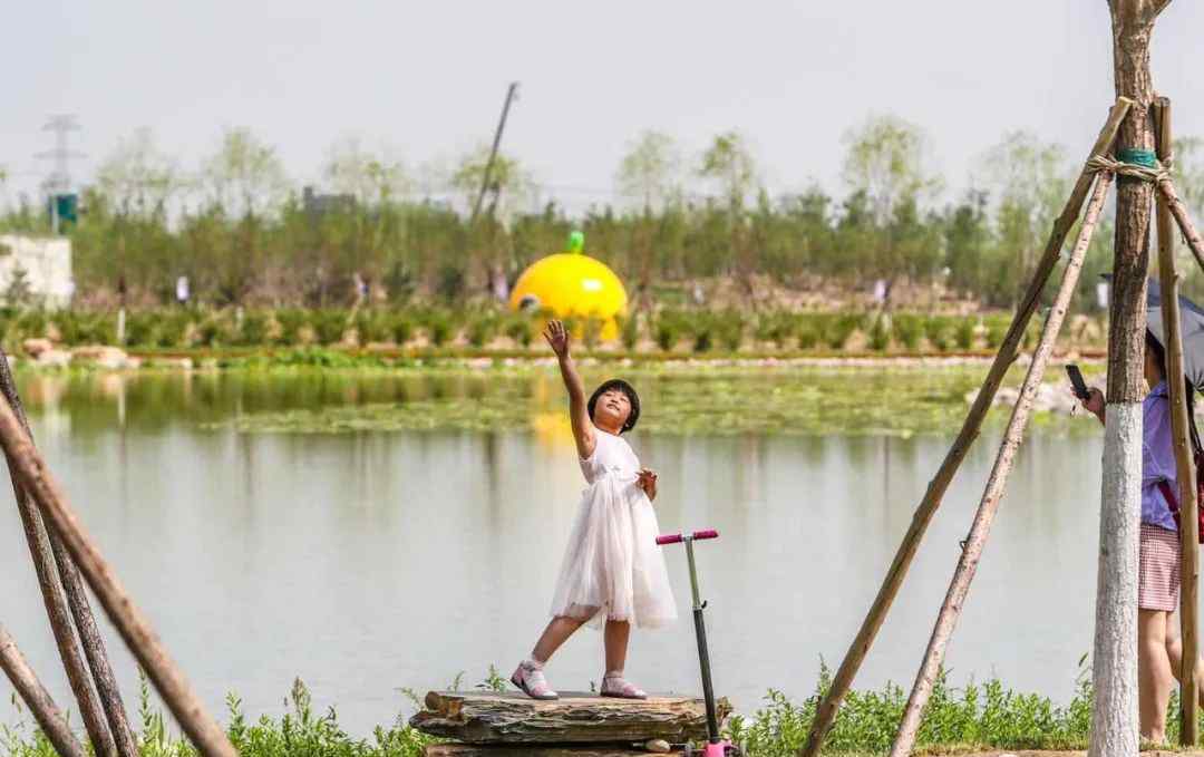 北京占地面积 今天上午，北京京南最大城市森林公园开放！占地面积约5508亩