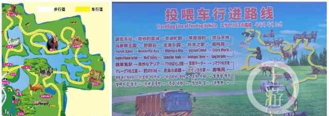 上海野生动物园熊群致人死亡 细节曝光！饲养员下车提醒挖掘车司机时遭攻击