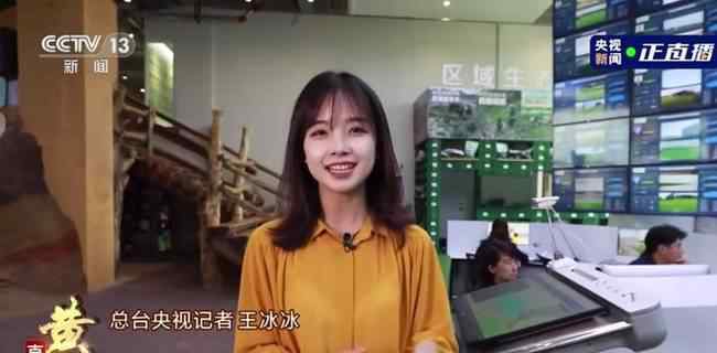 最近一位央视的一位女记者走红，她叫王冰冰，因为高颜值受到很多关注。长相甜美的王冰冰在镜头面