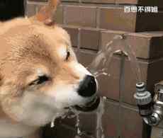 点线面设计 【干货】设计中的点线面到底有什么用？