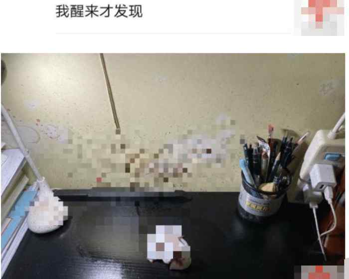 租客发现天花板滴血 男子倒卧室里死亡多时