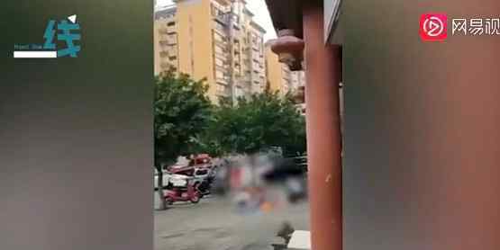 欲接跳楼女儿被砸：泸县玉蟾街道蓝山郡小区发生坠楼事件