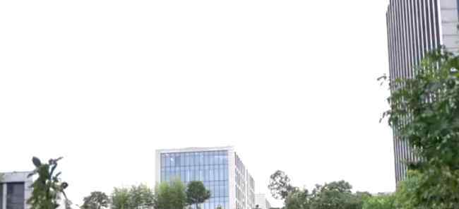 95后女生应聘因网购少被拒 引发网友热议