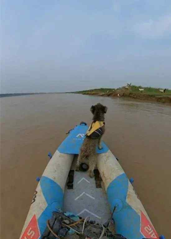 90后小伙一人一狗黄河漂流 步凡顺着黄河漂流到济南