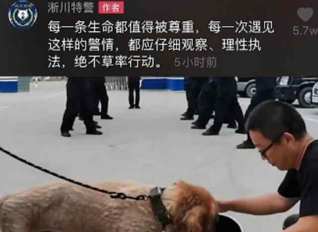 群众发现疯狗报警请求击杀 警方带装备赶到后画风突变