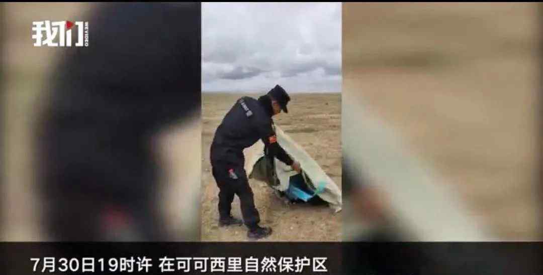 可可西里失联女生:死亡后被动物攻击