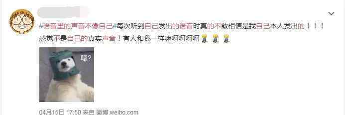 为什么微信语音里的声音不像自己揭秘来了