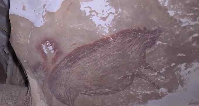 非洲疣猪 世界最古老艺术画是一只猪？印尼发现4.55万年前疣猪壁画
