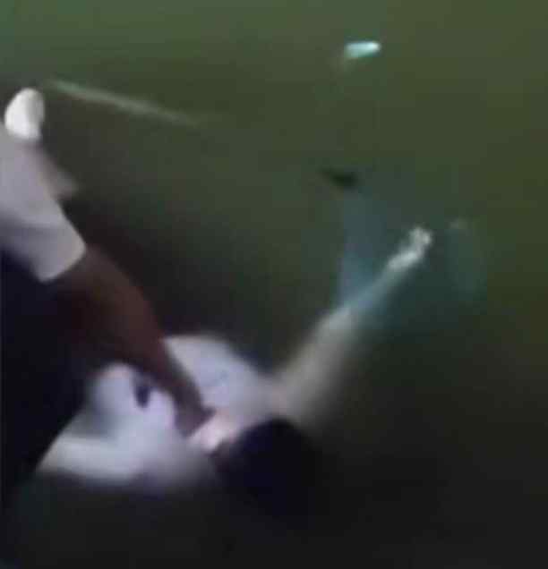 女孩落水漂浮自救 不呼救也不回应