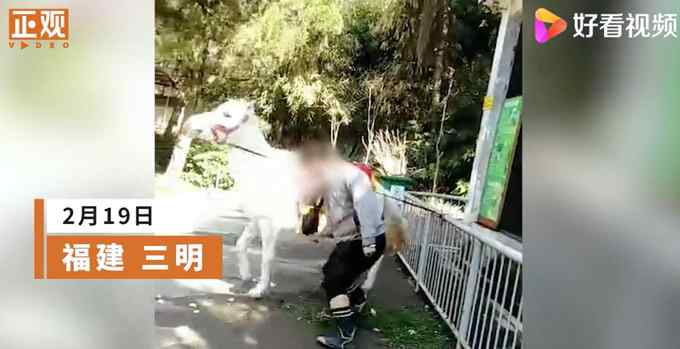 动物园回应男子挥拳暴打白马：个体经营不属于园内动物 网友怒了！