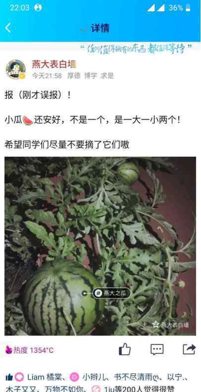 燕山大学操场长西瓜 已经被吃了