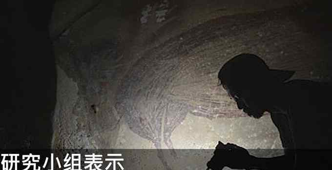 非洲疣猪 世界最古老艺术画是一只猪？印尼发现4.55万年前疣猪壁画
