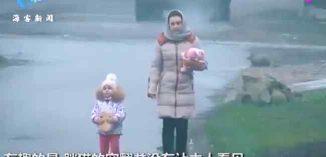 胖猫走路突然起飞360度空翻 网友一片惊叹