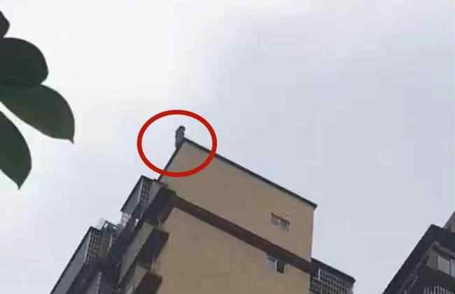 四川泸州15岁少女从25楼跳下:父亲欲接 双双身亡 少女为什么楼跳