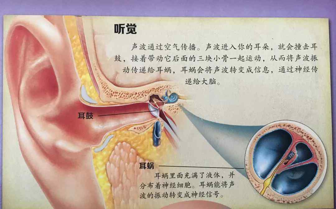 为什么微信语音里的声音不像自己揭秘来了