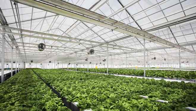 京东生鲜 探营京东植物工厂：生鲜全产业供应链到底是啥样？