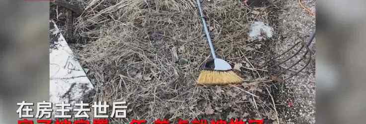 35岁男子花13万元买下了一处破旧房子，一场暴雨后发现意外惊喜，房价也随之暴涨10倍。