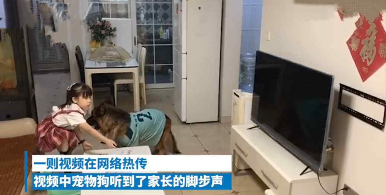 机智男孩偷看电视突然听到熟悉车声 一系列操作网友直呼心跳加速