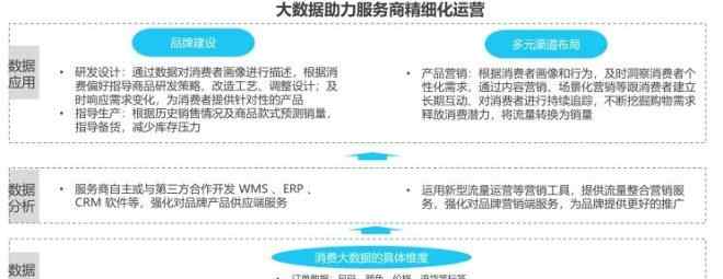 电商服务行业 2019中国品牌电商服务行业研究报告发布 宝尊稳居行业龙头