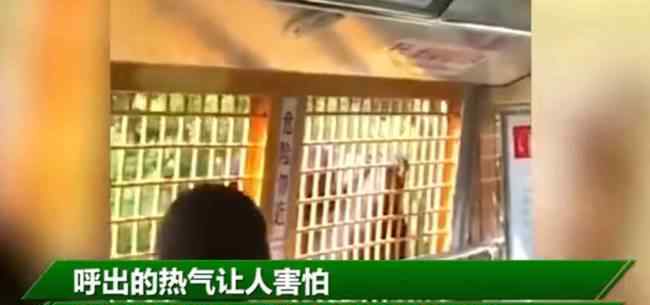 游客讲述上海野生动物园游览经历