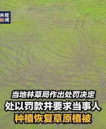 男子开车碾压草原被罚把草种回去