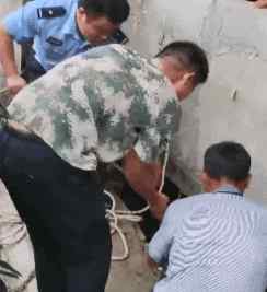 民警为救猪跳化粪池