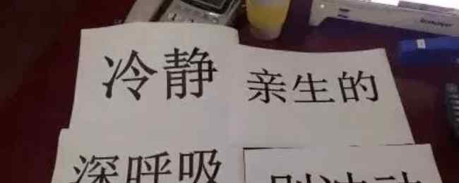 男孩游西湖时蹲地上写作文