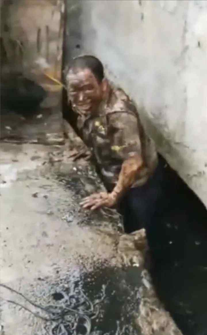 民警为救猪跳化粪池