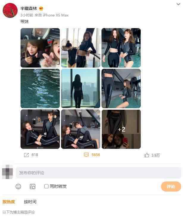 王思聪回应评论半藏森林