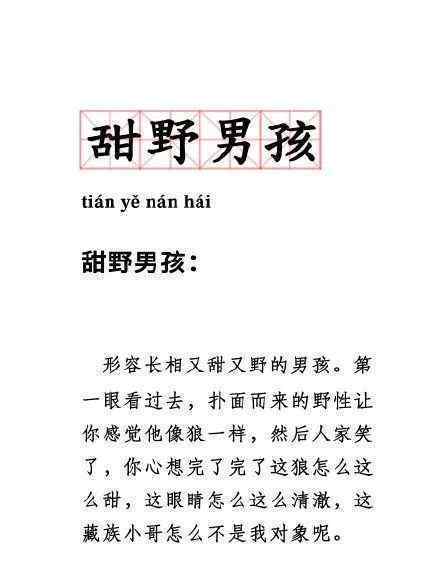 甜野男孩丁真引发的一场连续剧