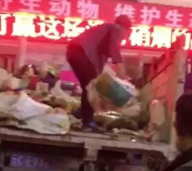 老人存几吨垃圾不舍得扔邻居报警 清理时一幕太惊人