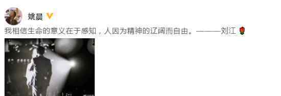 姚晨发文悼念时尚教父刘江：人因为精神的辽阔而自由