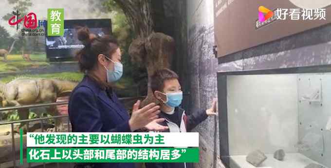 济南10岁男孩游玩时发现古生物化石？专家鉴定是真的！网友评论亮了