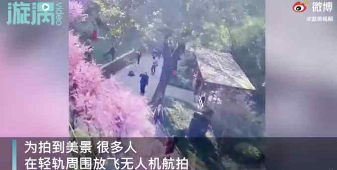 重庆开往春天的轻轨撞上无人机 官方：放飞者已违反相关规定！