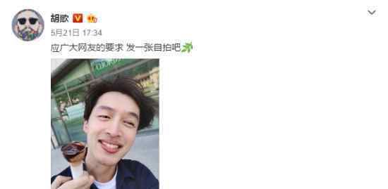 胡歌晒搞怪自拍照：应广大网友的要求发一张自拍