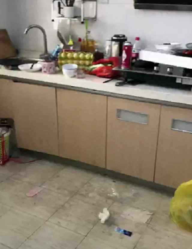 李湘回应租房“垃圾成山”争议 称离开前已打扫：房东只说了一半