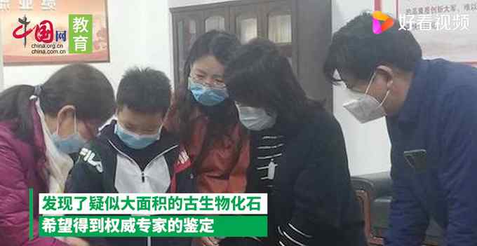 济南10岁男孩游玩时发现古生物化石？专家鉴定是真的！网友评论亮了