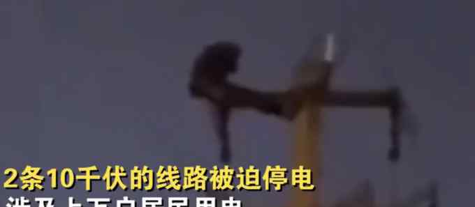 男子半夜爬上电线杆做仰卧起坐 上万用户被迫停电 网友：咋爬上去的？