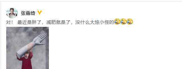 张雨绮回应被指长胖：没什么大惊小怪的 减肥就是了