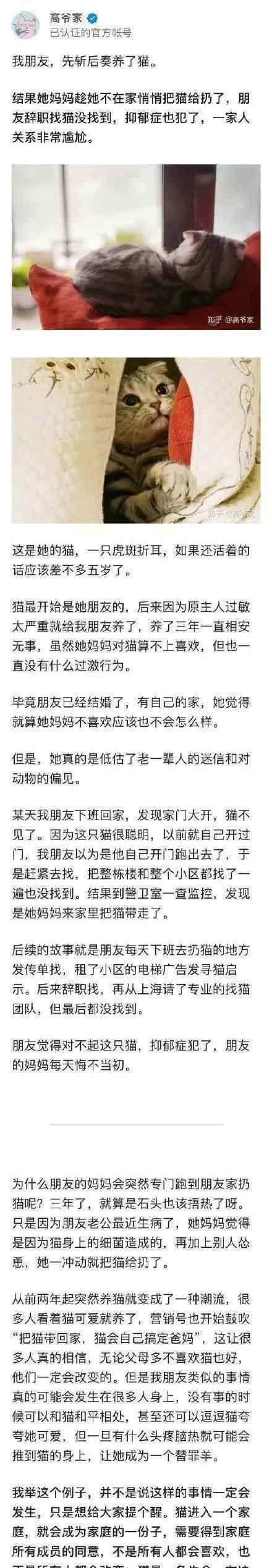 研究表明猫没有感情 妈妈擅自扔猫，女儿辞职也没找回猫！因此患上抑郁症