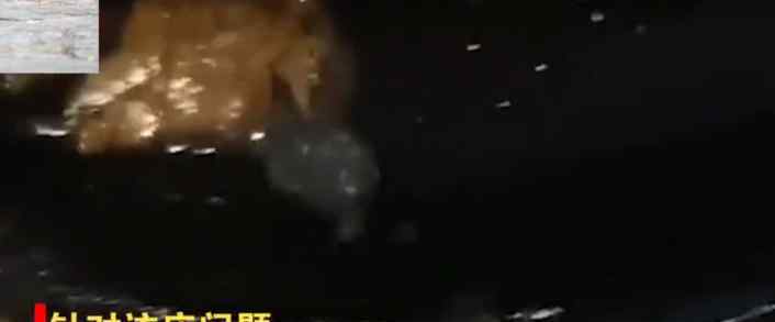 浙江知名牛排餐厅吃出活蛆 到底是什么状况？