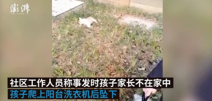 无锡5岁女孩抱宠物狗从13楼坠下：小狗当场死亡 女孩仍在抢救
