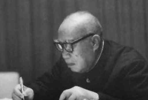 将才帅才 蒋介石评价十大元帅，只有1人可以称上帅才，其他9人皆为将才