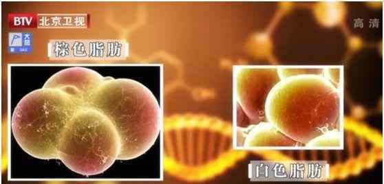 肚子胖怎么减肥最快 人到中年易发胖、大肚子，原因无非这两点！4个秘诀，人人都能瘦得轻松，瘦得快，不反弹