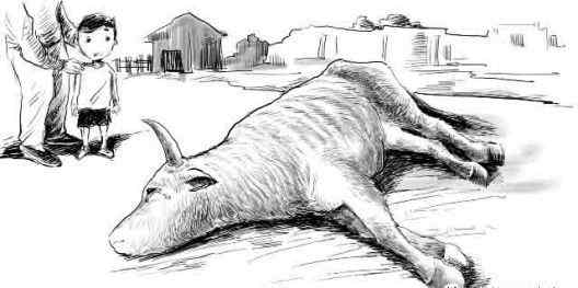 谁杀了我的牛 经典寓言故事：牛是谁杀死的？