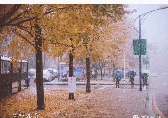 景德镇嘉禾影院 10月精彩拍卖会信息